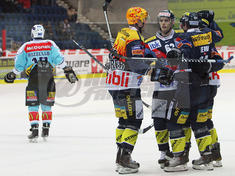 Bilder zur Verwendung auf hockeyfans.ch