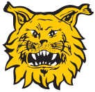 Ilves Tampere (FIN)